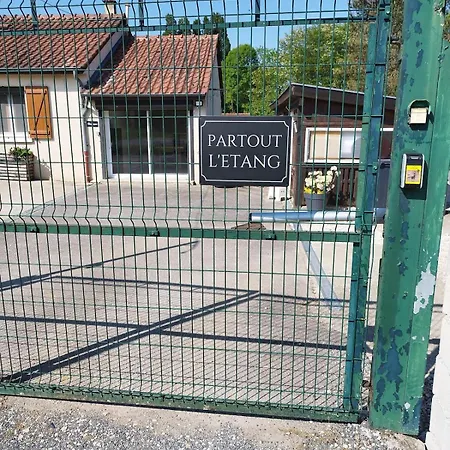Partout L'étang En Der